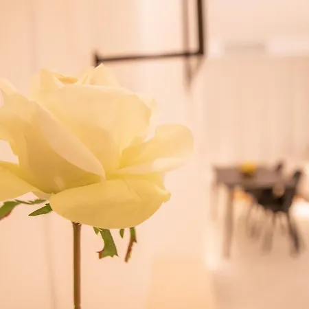 Breathe By Concept Flats Apartment Valencia
