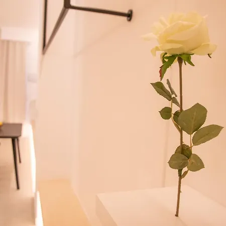 Breathe By Concept Flats Valencia