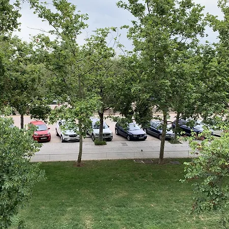 Art And Sciences View Luxury