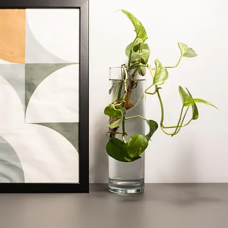 Апартаменты Victoria