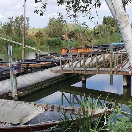Alloggio in famiglia Cerca Del Centro *