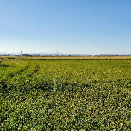 Alloggio in famiglia Cerca Del Centro