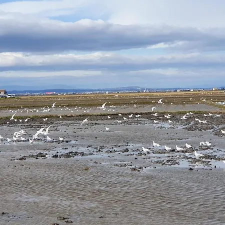 منزل للإقامة Cerca Del Centro فالنسيا