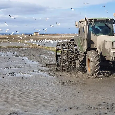 Cerca Del Centro 瓦伦西亚