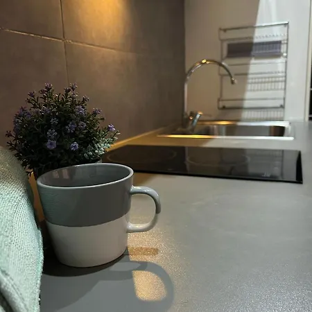 Centro Ciudad Apartment