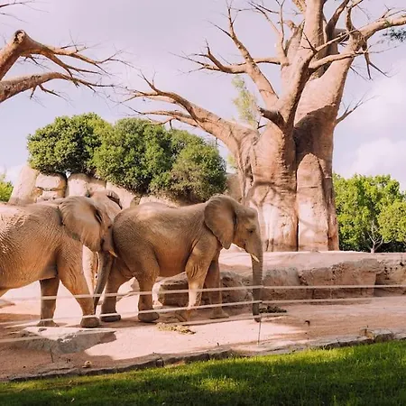 Apartamento Loft Independiente De Lujo.