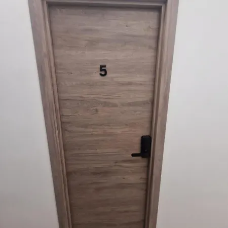 Centrica De Lujo Gv 5 Homestay Valencia