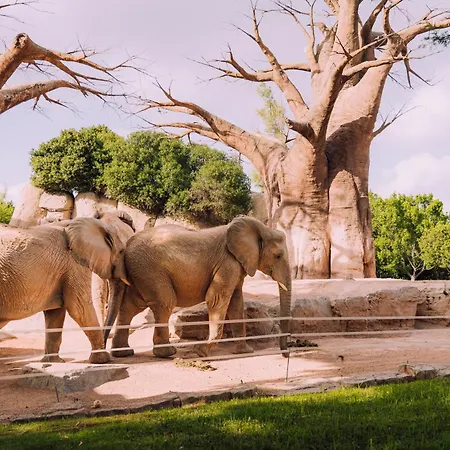 Homestay Centrica De Lujo Gv 6