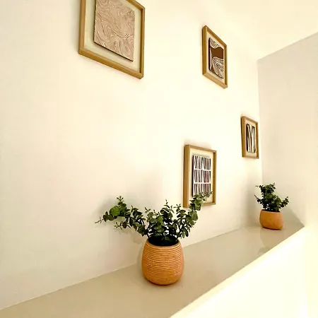 Apartment Duplex Mercado
