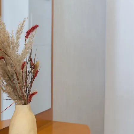 Piso Familiar Cerca Del Centro, Ac Y Wifi Gratis *