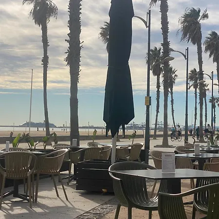 Avenida Mare Nostrum 7 Patacona Breakfast Items In The *