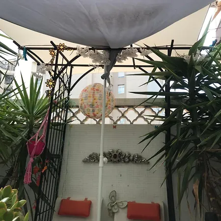 Papillon Bed & Breakfast *