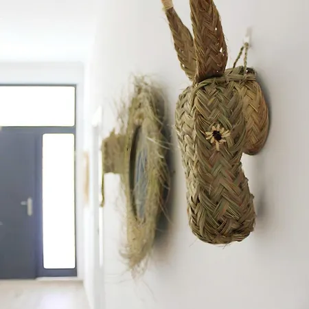 Bonito Con Terraza En Centro Historico