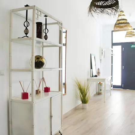 Bonito Con Terraza En Centro Historico *