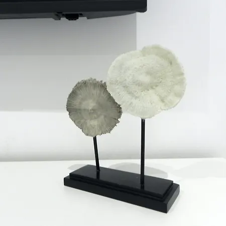 Catalina Downtown 4* Valencia