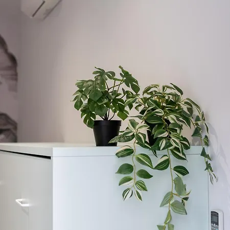 Marina Apartment