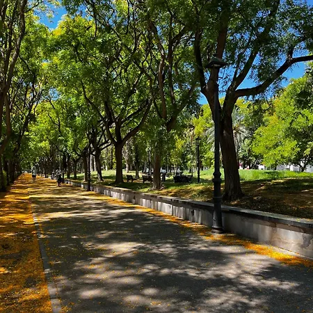 Lägenhet Alojame Valencia