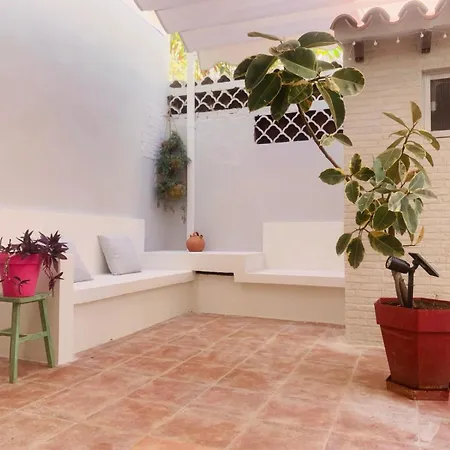 Piso Centrico Con Bonita Terraza