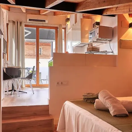 Sunny Cozy Penthouse With A Terrace At Plaza Del Carmen * Valence