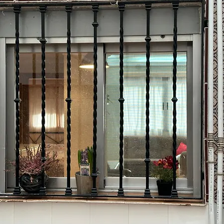 La Casa De Lili Acerca De Palacio De Música *