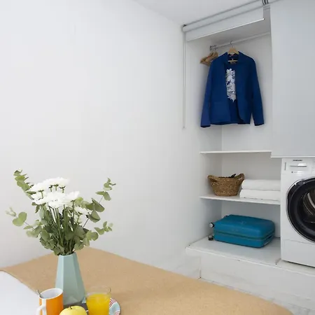 Singularstays Atico Roger De Flor