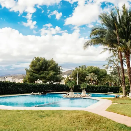 Almar Collection Cullera Racomar
