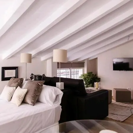Apartment Loft Con Terraza Valencia