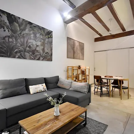Acogedor Piso En El Corazon Del Casco Historico Appartement Valence