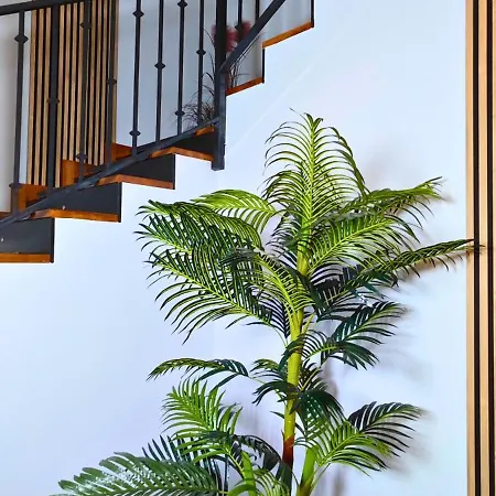 شقة فندقية Ynfinity 3*