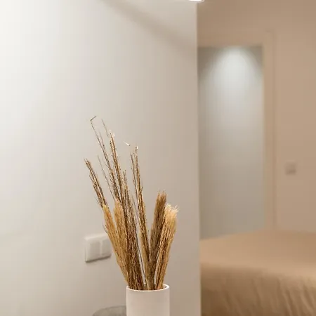 Apartamento Deluxe - Aiora *