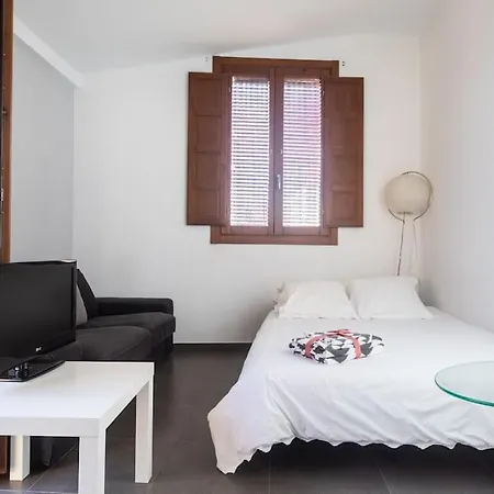 Apartment Attic Ciutat Vella/wifi/city Center