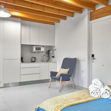 Apartment Loft Elegante En Plaza Del Carmen F3 *