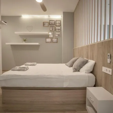 Loft De Diseno Junto A La Dama De Elche Valencia