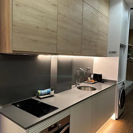 Fabulosa Vivienda Nueva A Un Paso De Plaza Espana