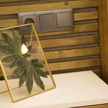 Fabulosa Vivienda Nueva A Un Paso De Plaza Espana Apartment *
