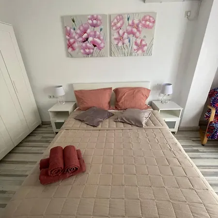 Piso Tranquilo Y Luminoso En Apartamento Valência