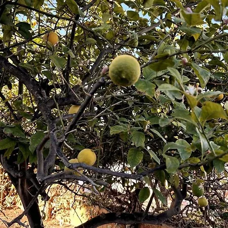 Mediterranean House In * 瓦伦西亚