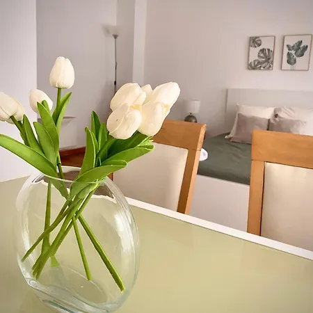 Apartment Tierra Valencia