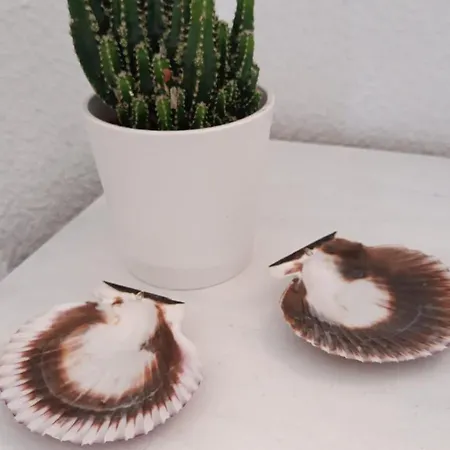 Blue Double Private At Front - En La Playa Piso Compartido Valensiya