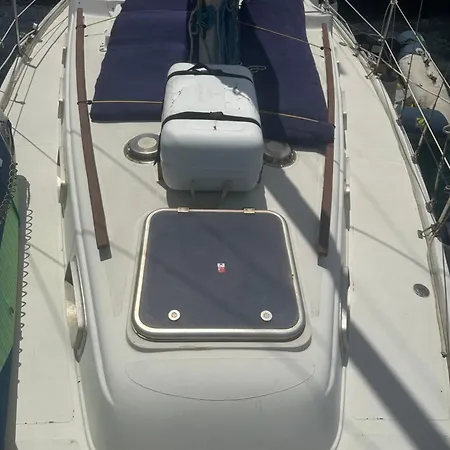 Barco De Encanto Valence