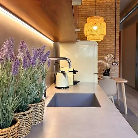 Tradicional Casa Con Patio Ruzafa Apartment Valencia