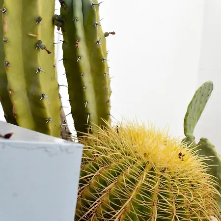 Bonito Atico Duplex Cerca De Torres De Serrano Appartement