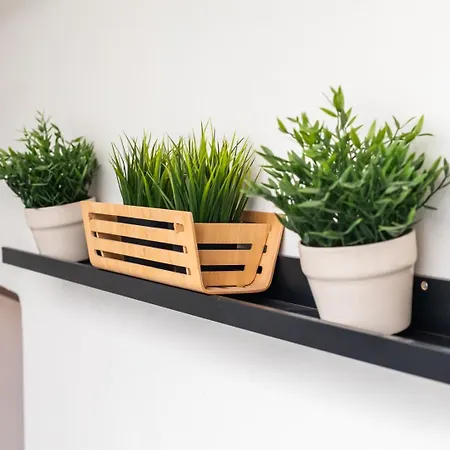 Mestalla River Daire *