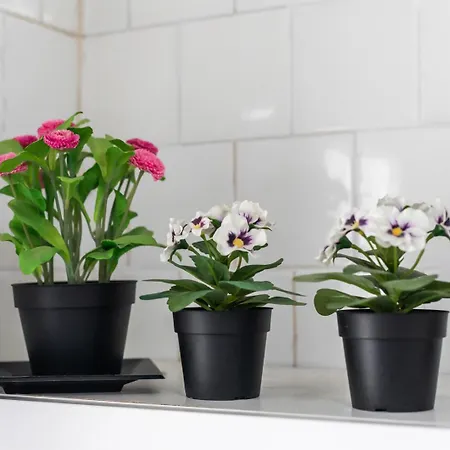 Lejlighed Mestalla River Valencia