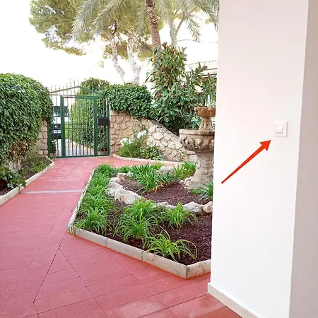 Almar Collection Cullera Racomar