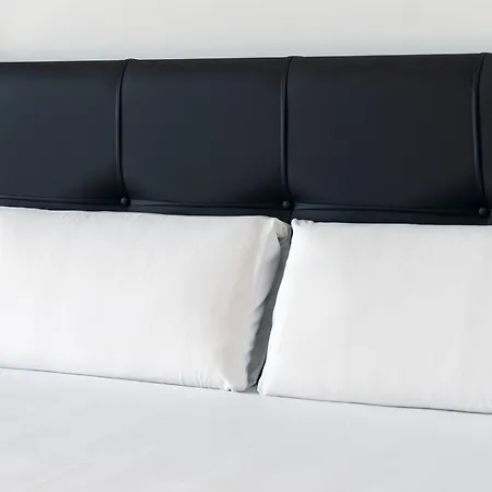 Vlc Host - Zapadores