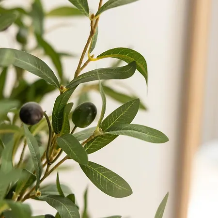 Favara A By Concept Flats *