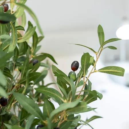 Favara B By Concept Flats * 발렌시아