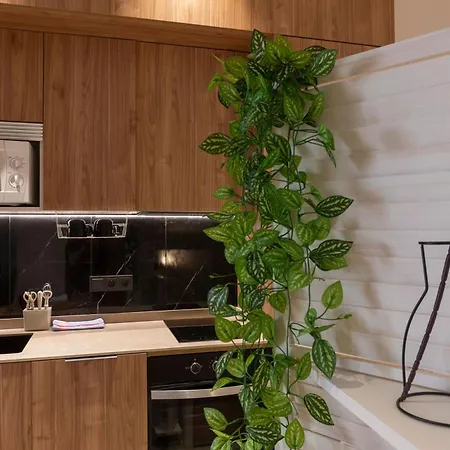 Vlc Host - Zapadores Apartamento Valencia