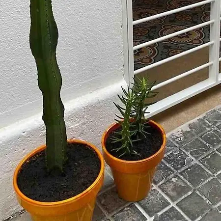 Casa Vila Prades Valencia